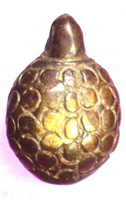 เต่าเรีอน หลวงปู่ศุข วัดปากคลองมะขามเฒ่า